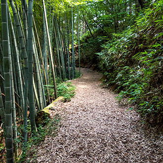 NAKASENDO TRAIL | JAPAN NAKASENDO TRAIL | JAPAN