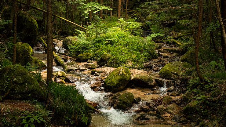 NAKASENDO TRAIL | JAPAN NAKASENDO TRAIL | JAPAN