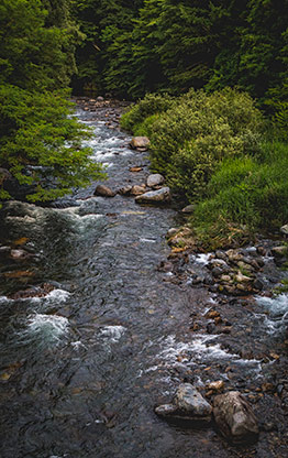 NAKASENDO TRAIL | JAPAN NAKASENDO TRAIL | JAPAN