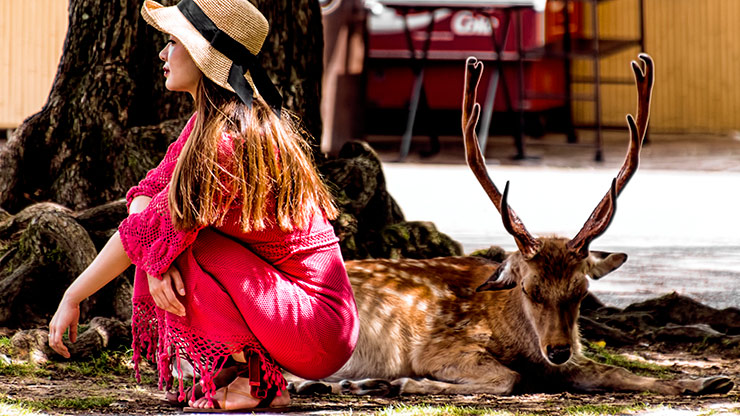 NARA | JAPAN NARA | JAPAN