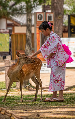 NARA | JAPAN NARA | JAPAN