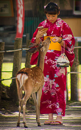 NARA | JAPAN NARA | JAPAN