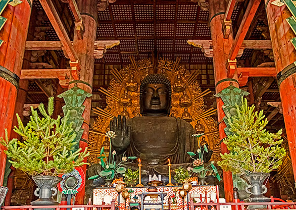 NARA | JAPAN NARA | JAPAN