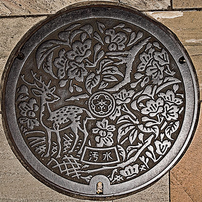 NARA | JAPAN NARA | JAPAN