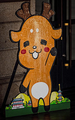 NARA | JAPAN NARA | JAPAN