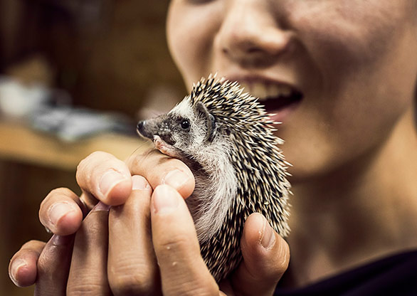 OSAKA | JAPAN OSAKA | JAPAN