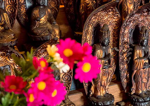 TAKAOKA | JAPAN TAKAOKA | JAPAN