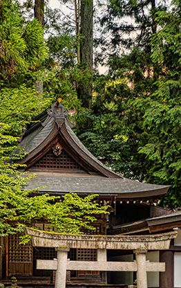 TAKAYAMA | JAPAN TAKAYAMA | JAPAN