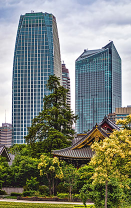 TOKYO | JAPAN TOKYO | JAPAN