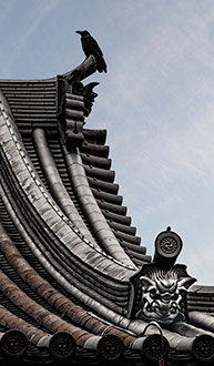 TOKYO | JAPAN TOKYO | JAPAN