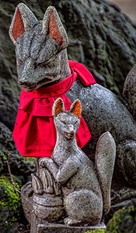 TOKYO | JAPAN TOKYO | JAPAN