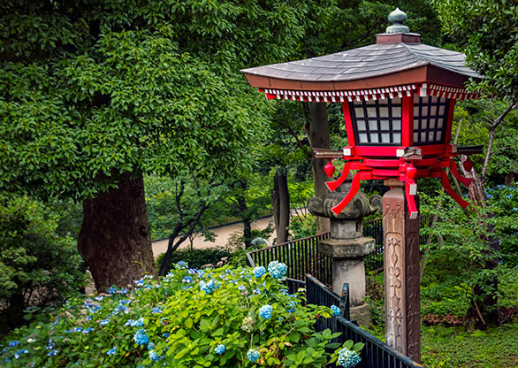 TOKYO | JAPAN TOKYO | JAPAN