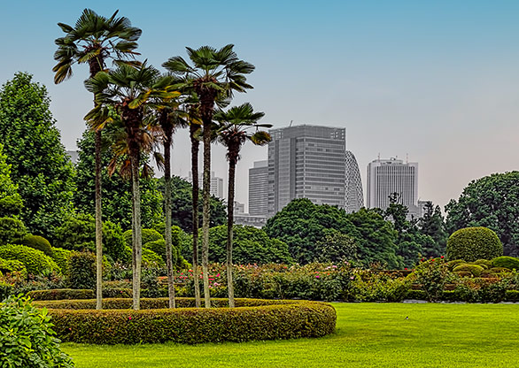 TOKYO | JAPAN TOKYO | JAPAN