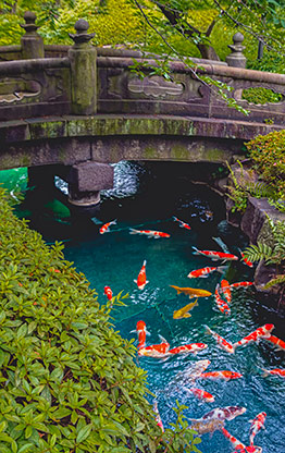 TOKYO | JAPAN TOKYO | JAPAN