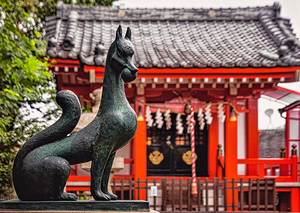 TOKYO | JAPAN TOKYO | JAPAN