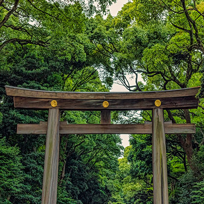 TOKYO | JAPAN TOKYO | JAPAN