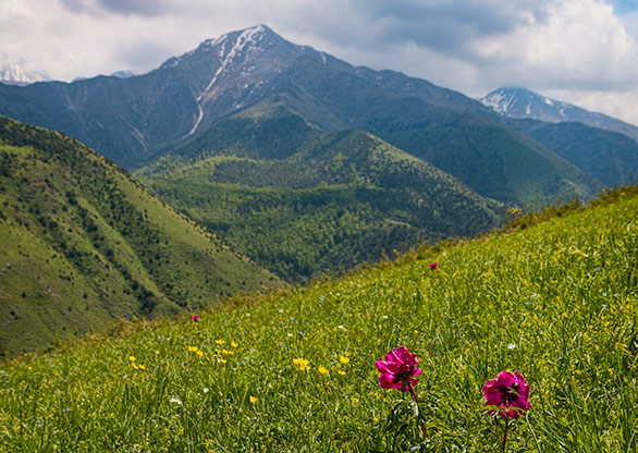 ALA ARCHA NATIONAL PARK | KYRGYZSTAN
