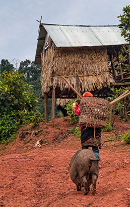 AKHA VILLAGE | LAOS