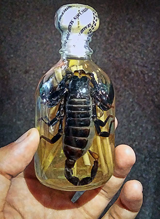 LUANG PRABANG | LAOS