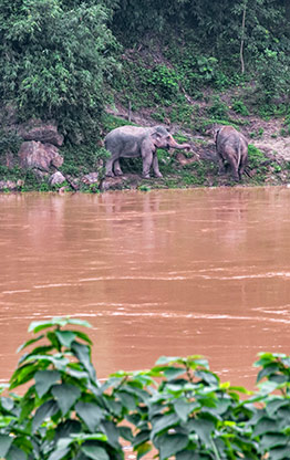 MEKONG RIVER | LAOS