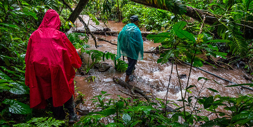NAM HA JUNGLE | LAOS