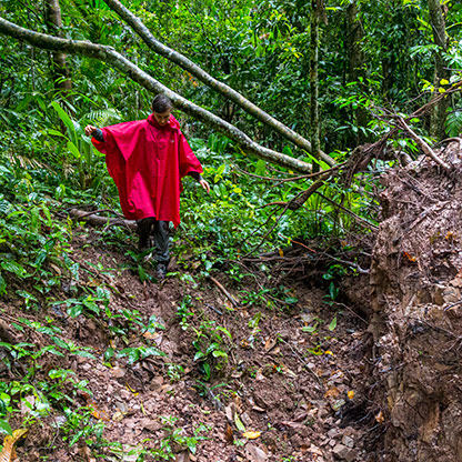 NAM HA JUNGLE | LAOS