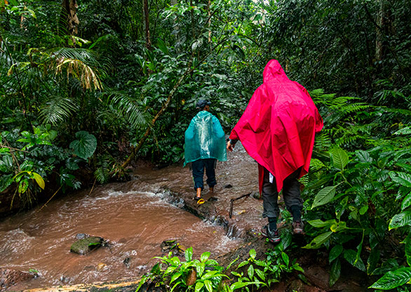 NAM HA JUNGLE | LAOS