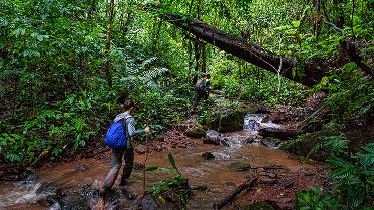 NAM HA JUNGLE | LAOS