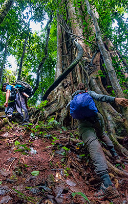NAM HA JUNGLE | LAOS