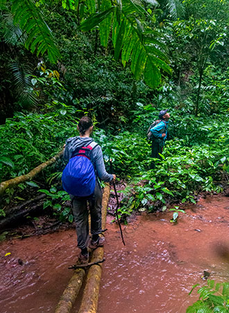 NAM HA JUNGLE | LAOS
