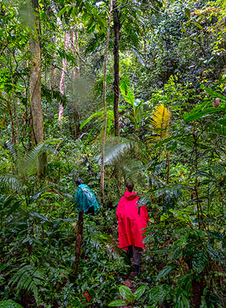 NAM HA JUNGLE | LAOS