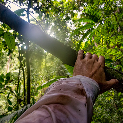 NAM HA JUNGLE | LAOS