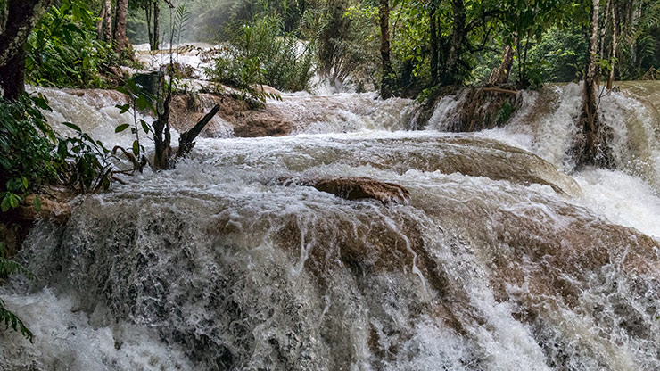 NAM HA JUNGLE | LAOS