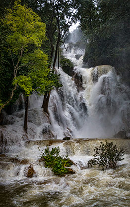 NAM HA JUNGLE | LAOS