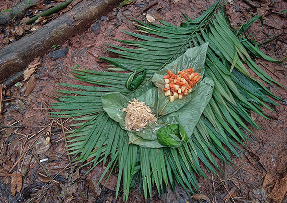 NAM HA JUNGLE | LAOS