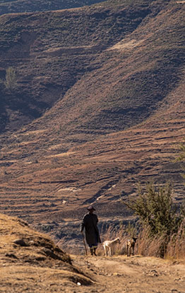 HA-MOLAPO | LESOTHO
