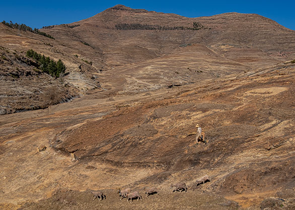 HA-MOLAPO | LESOTHO