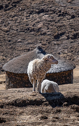 MOTHOKLONG | LESOTHO