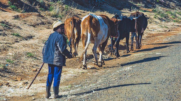 MOTHOKLONG | LESOTHO