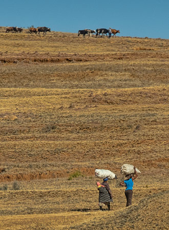 MOTHOKLONG | LESOTHO