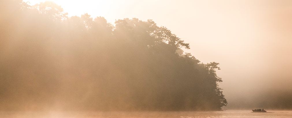 KINABATANGAN RIVER | MALAYSIA
