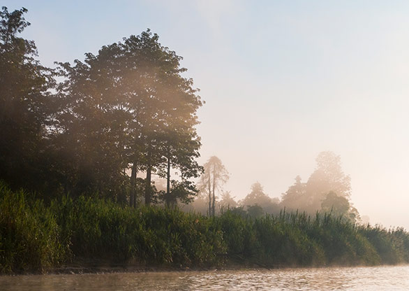 KINABATANGAN RIVER | MALAYSIA