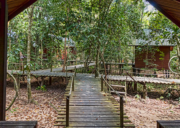 KINABATANGAN RIVER | MALAYSIA