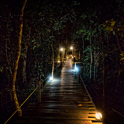 KINABATANGAN RIVER | MALAYSIA