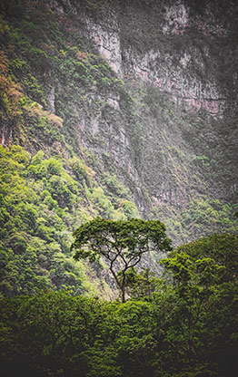 CANYON DE SUMIDERO | MEXICO