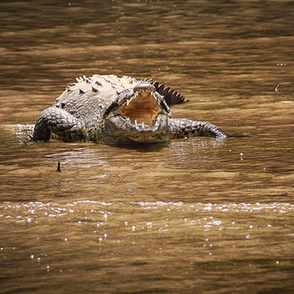 CANYON DE SUMIDERO | MEXICO