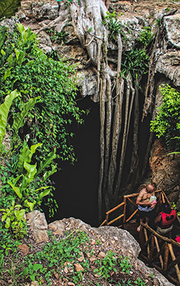 CENOTE | MEXICO