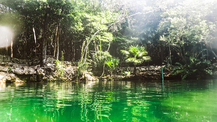 CENOTE | MEXICO