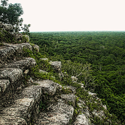 COBA | MEXICO
