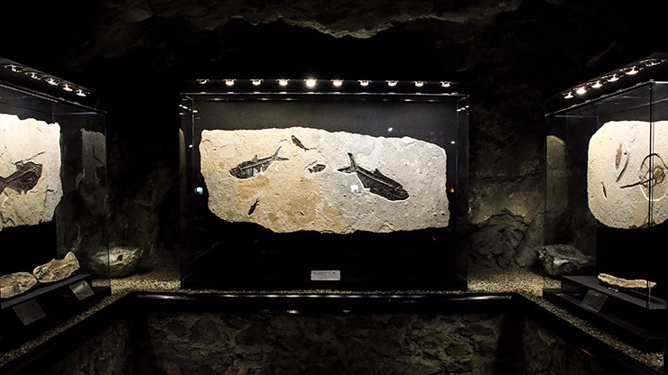 EL EDEN MINE | MEXICO